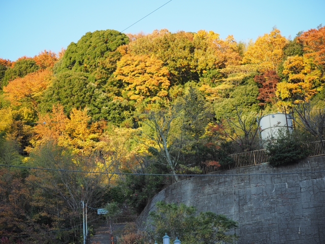 万葉公園駐車場前からの風景　　紅葉　