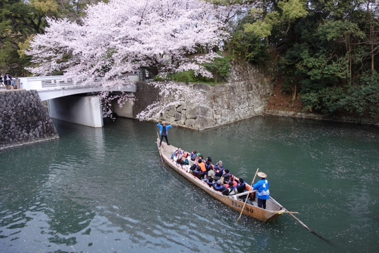 静岡にも優雅にお花見の舟が♪　　葵舟　春の陣～駿府堀めぐり～