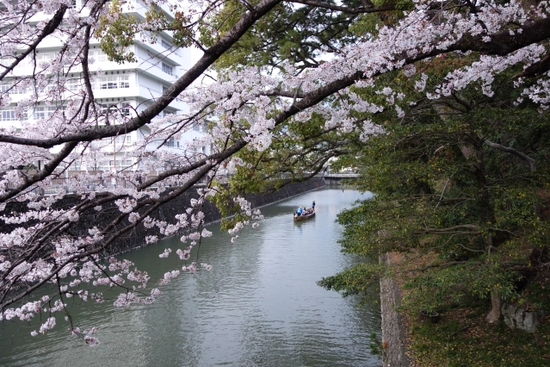 静岡にも優雅にお花見の舟が♪　　葵舟　春の陣～駿府堀めぐり～