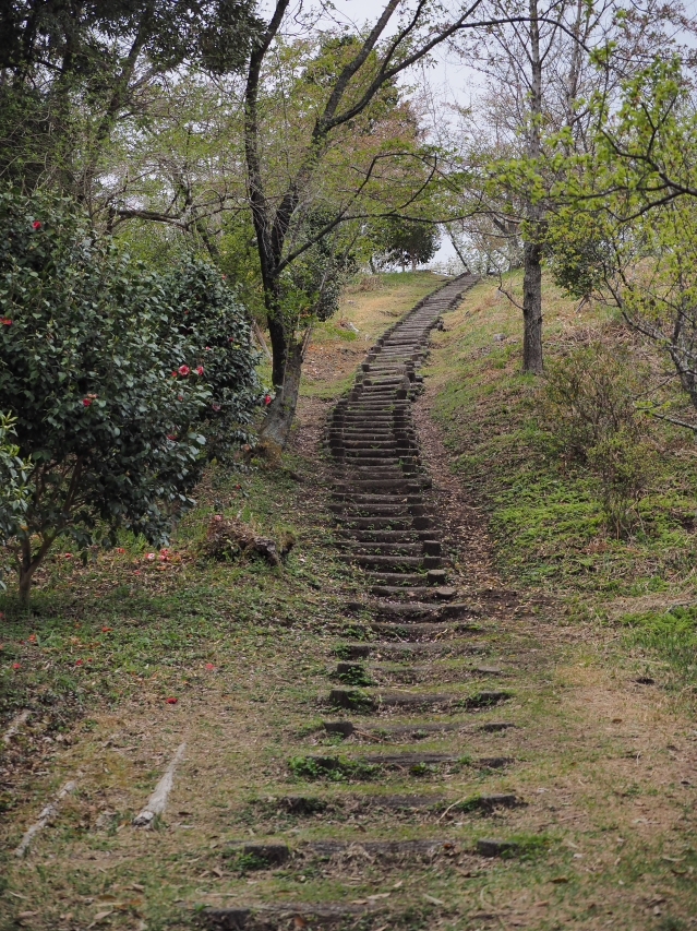 明星山公園の春　2018