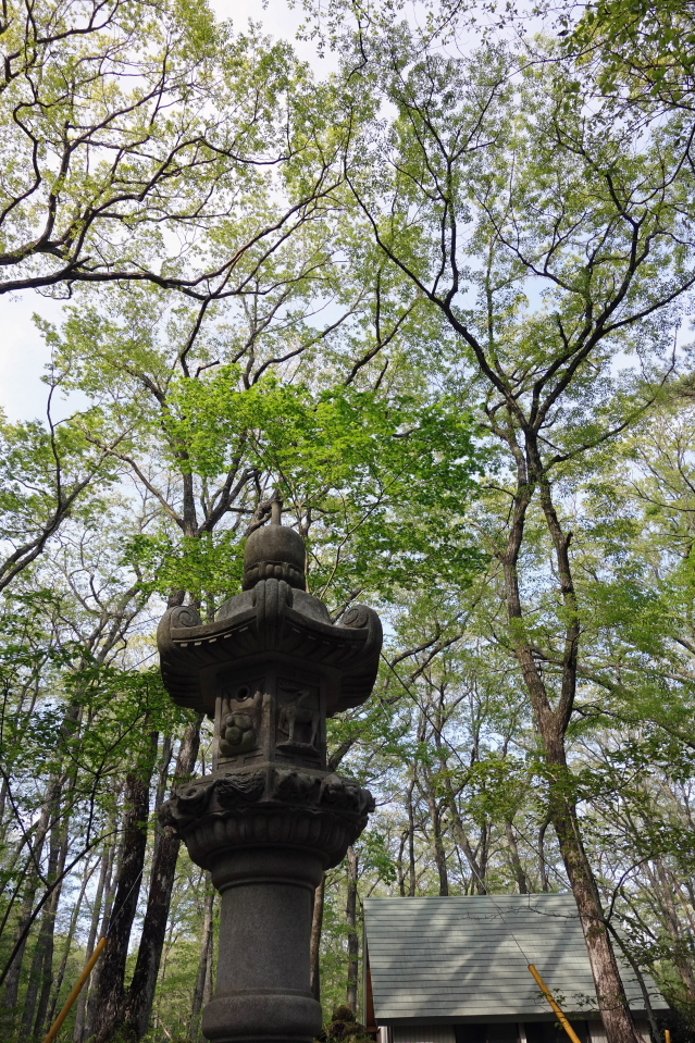 つつじはどうだった？　御殿場　御胎内清宏園
