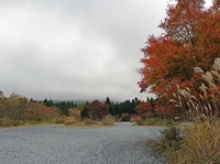 色付いてるよ～♪　西臼塚駐車場と富士山スカイライン