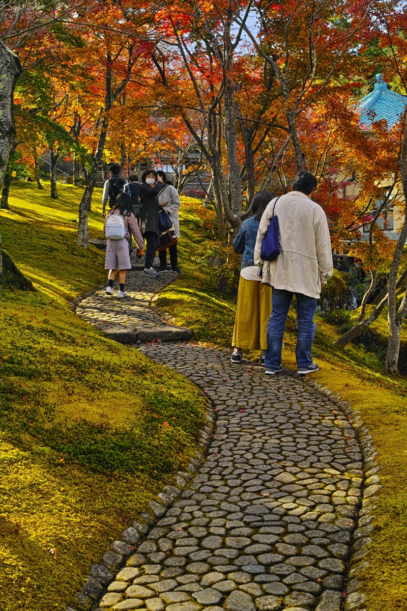 苔庭と紅葉がきれいな箱根美術館　強羅　2022