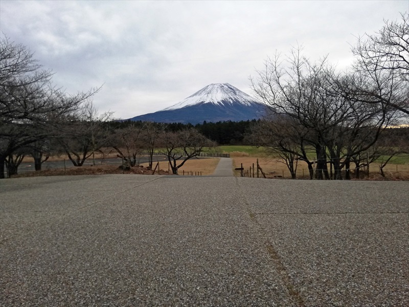 朝霧高原 富士山展望台
