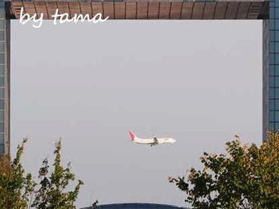 飛行機が　ビルの間を通過～♪　ｉｎ　お台場