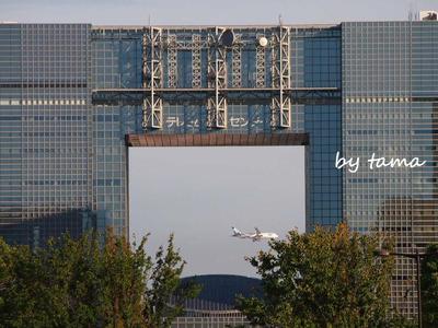 飛行機が　ビルの間を通過～♪　ｉｎ　お台場