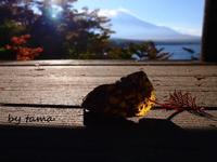 山中湖　夕焼けの渚　紅葉まつり♪  秋の富士山