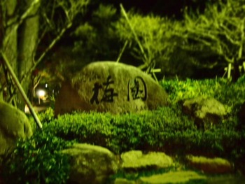 紅葉情報♪　熱海梅園もみじまつり　もうちょっとがんばれ～