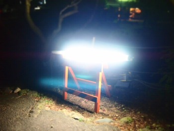紅葉情報♪　熱海梅園もみじまつり　もうちょっとがんばれ～