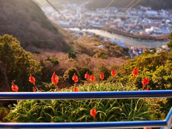寝姿山のロープウェイ♪　下田ちょい旅　⑦