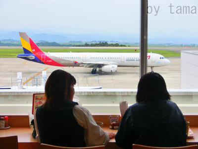 間近で飛行機眺めながらお食事～♪　富士山静岡空港　沼津魚がし鮨