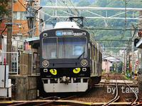 キャッツイイ！！　静鉄電車　CATSバージョン登場