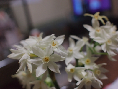 さすがに寒い・・・・・・・