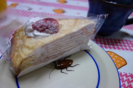 冬は鍋がいいね