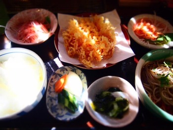 桜えび尽くし♪　由比　食堂さくら屋