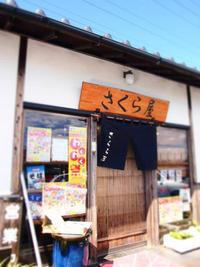 桜えび尽くし♪　由比　食堂さくら屋