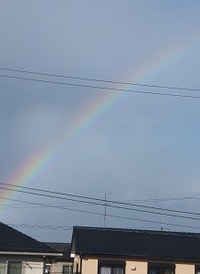 虹。