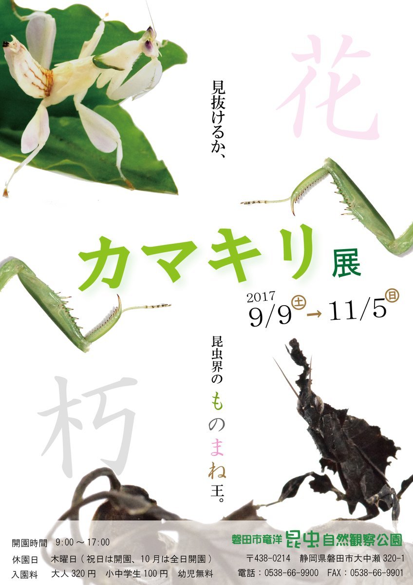 昆虫公園　バス宣