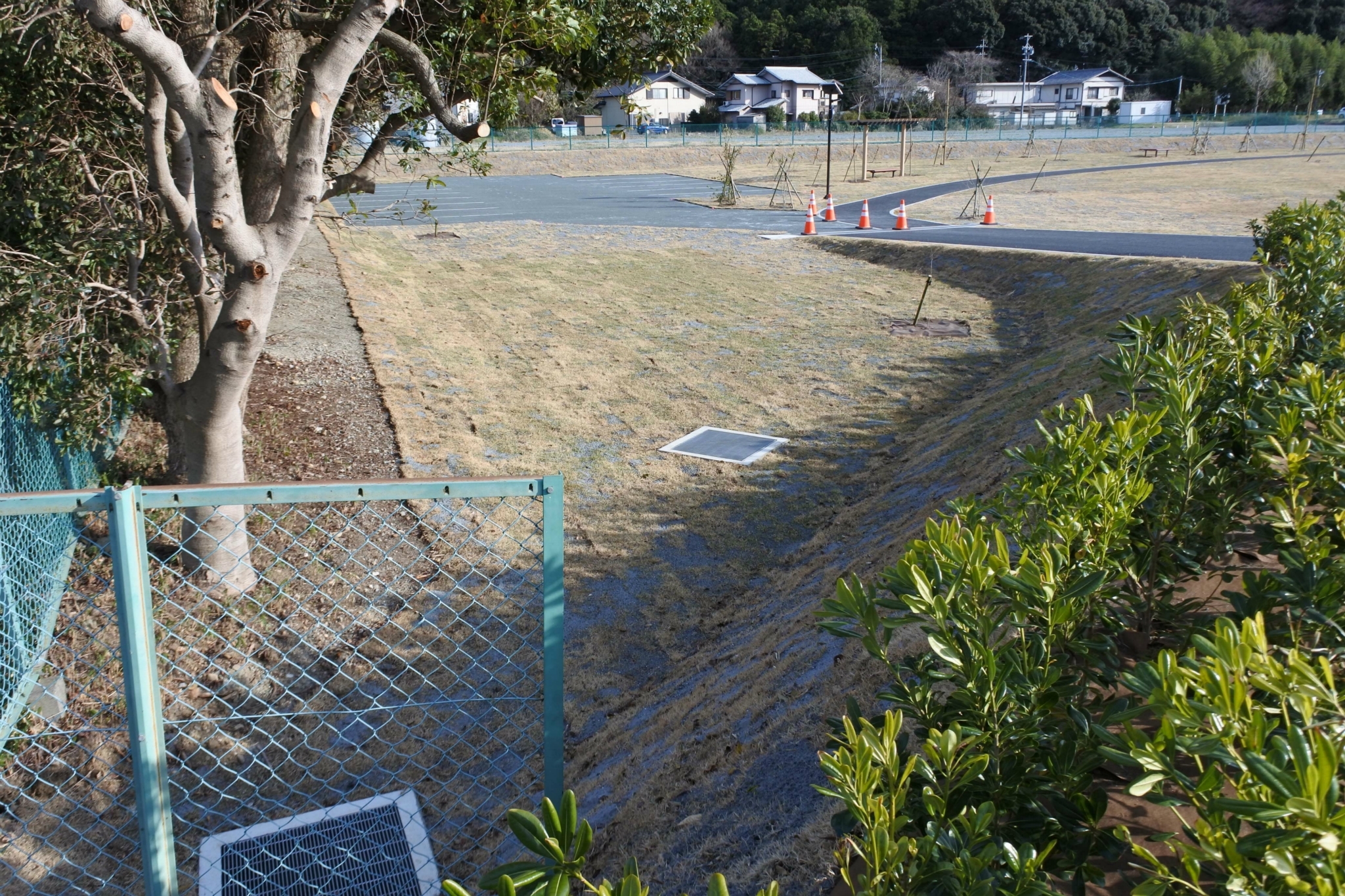 2017 佐鳴湖公園段子川左岸