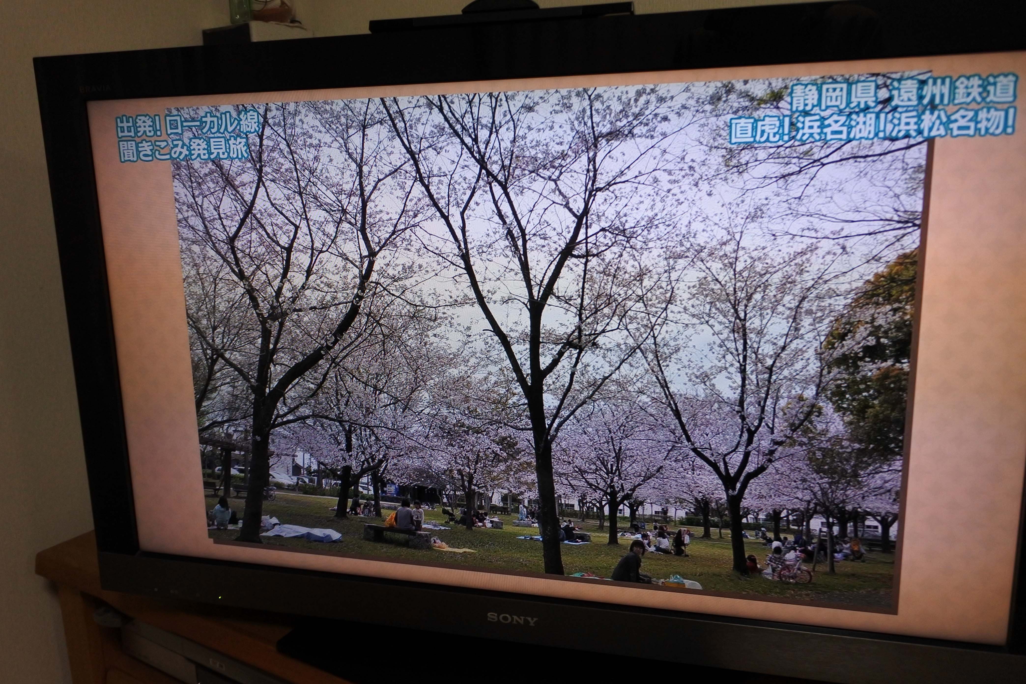 出発！ローカル線聞きこみ発見旅：美薗中央公園