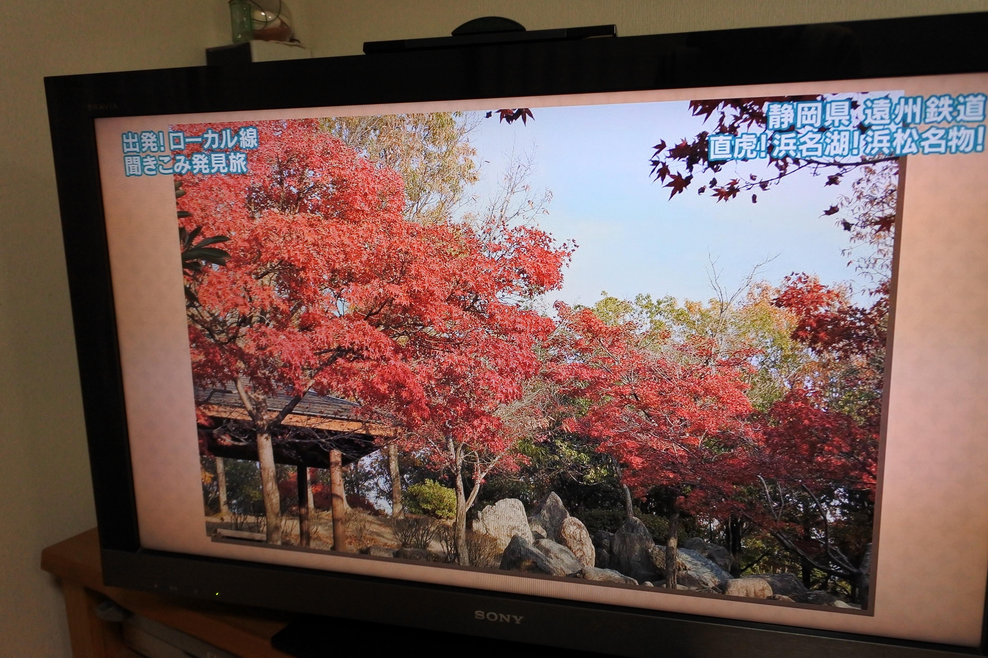 出発！ローカル線聞きこみ発見旅：美薗中央公園