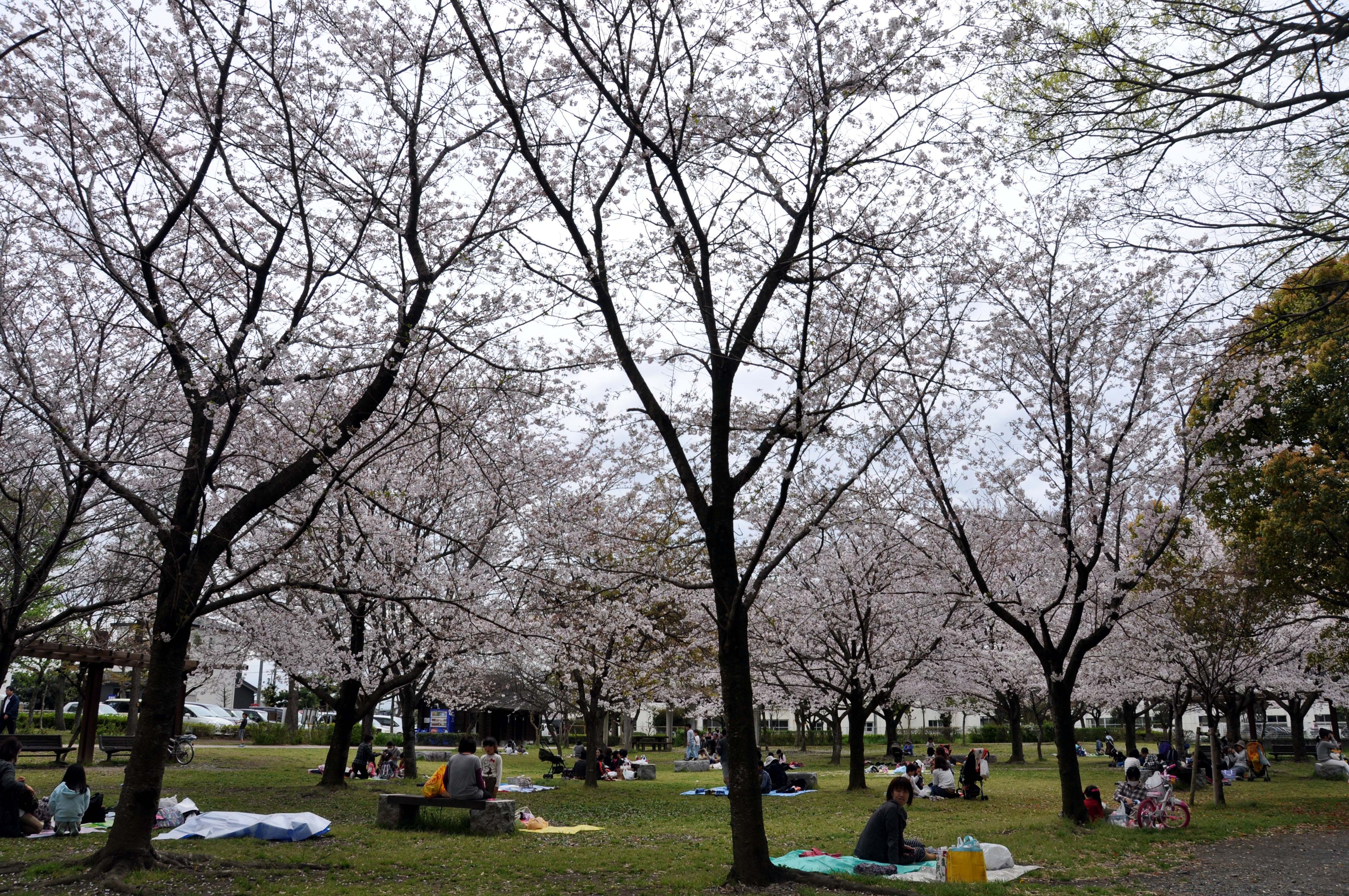 出発！ローカル線聞きこみ発見旅：美薗中央公園