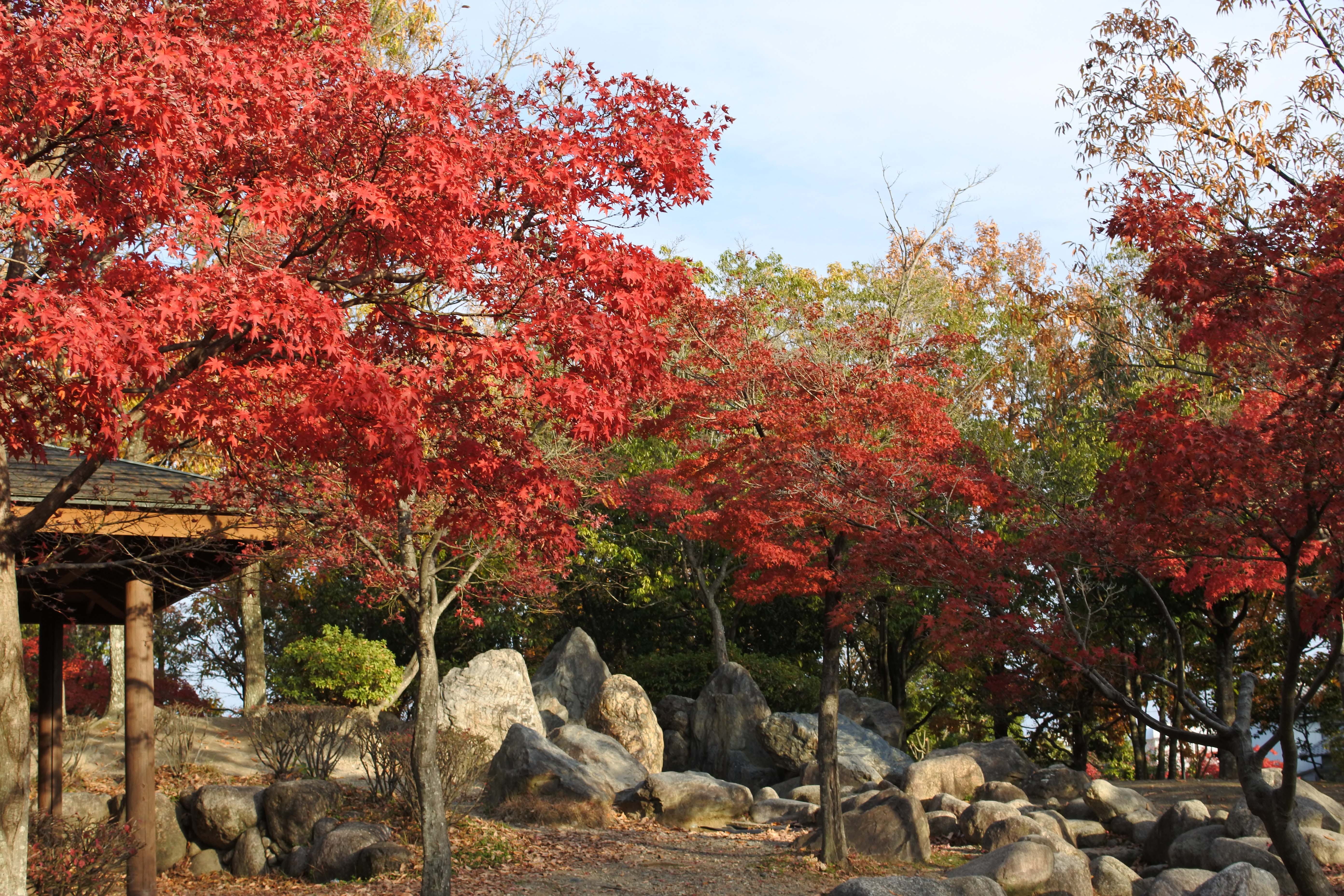 出発！ローカル線聞きこみ発見旅：美薗中央公園