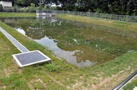 南区役所新調整池　2013/09/08