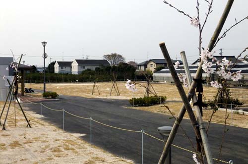 2013 白昭公園