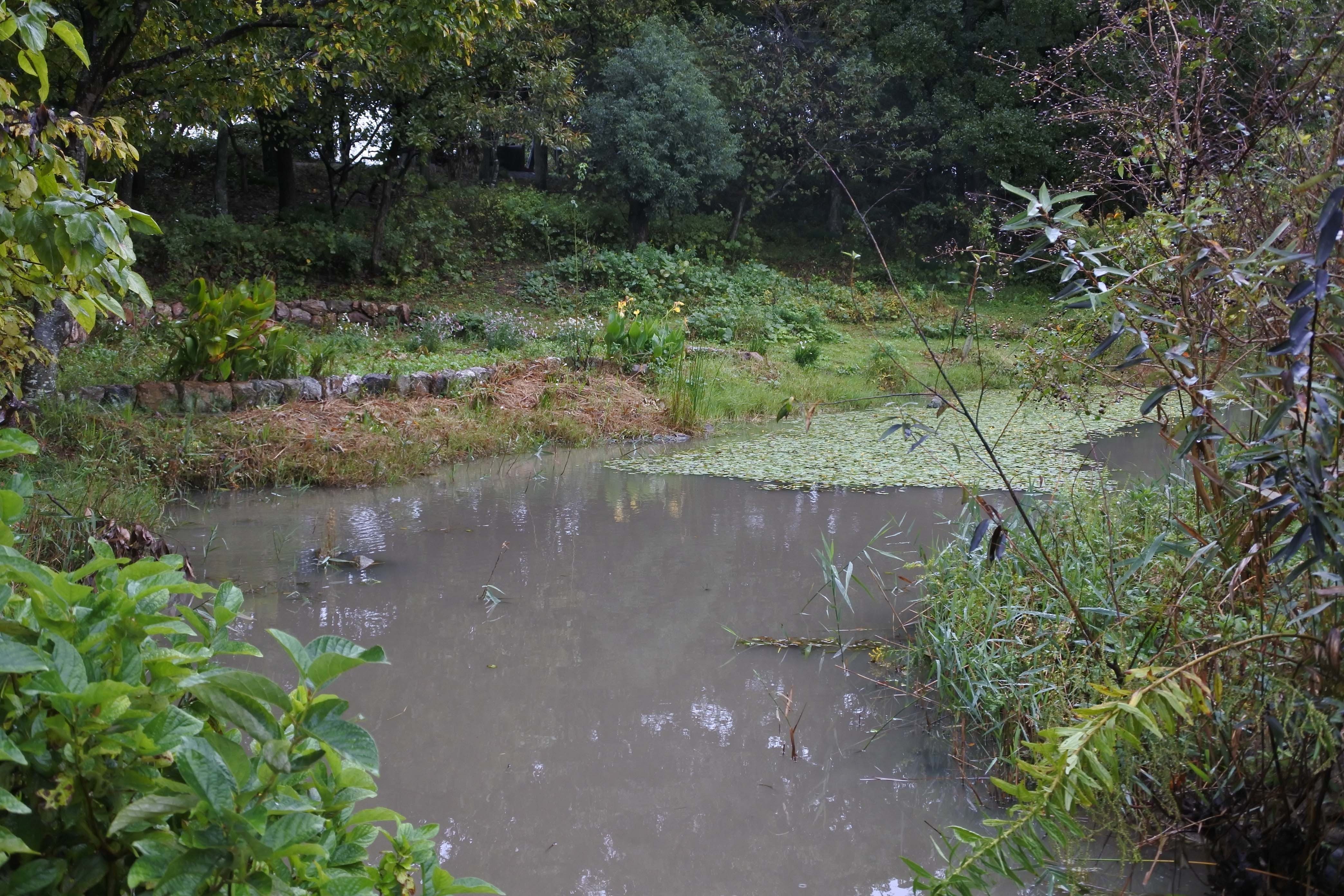 調整池ツアー