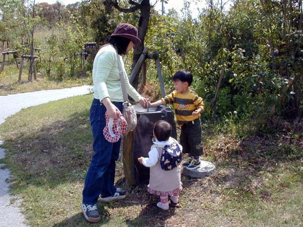 昆虫公園　17年前の写真