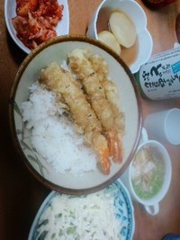 朝酌 2013/01/24 05:45:13