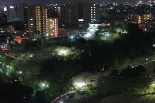 おすすめスポット