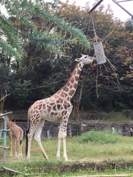 動物園