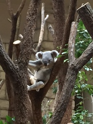 動物園