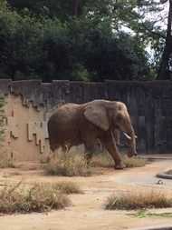 動物園