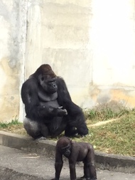 動物園