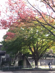 動物園