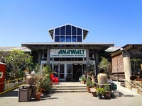 ＡＮＡＷＡＬＴ