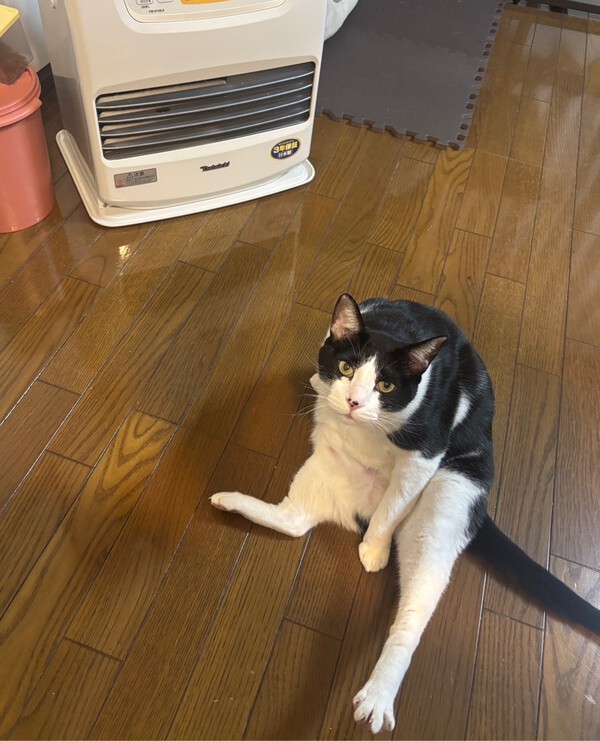 あんよの指　かっぴらき