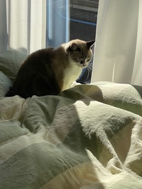 日向ぼっこ