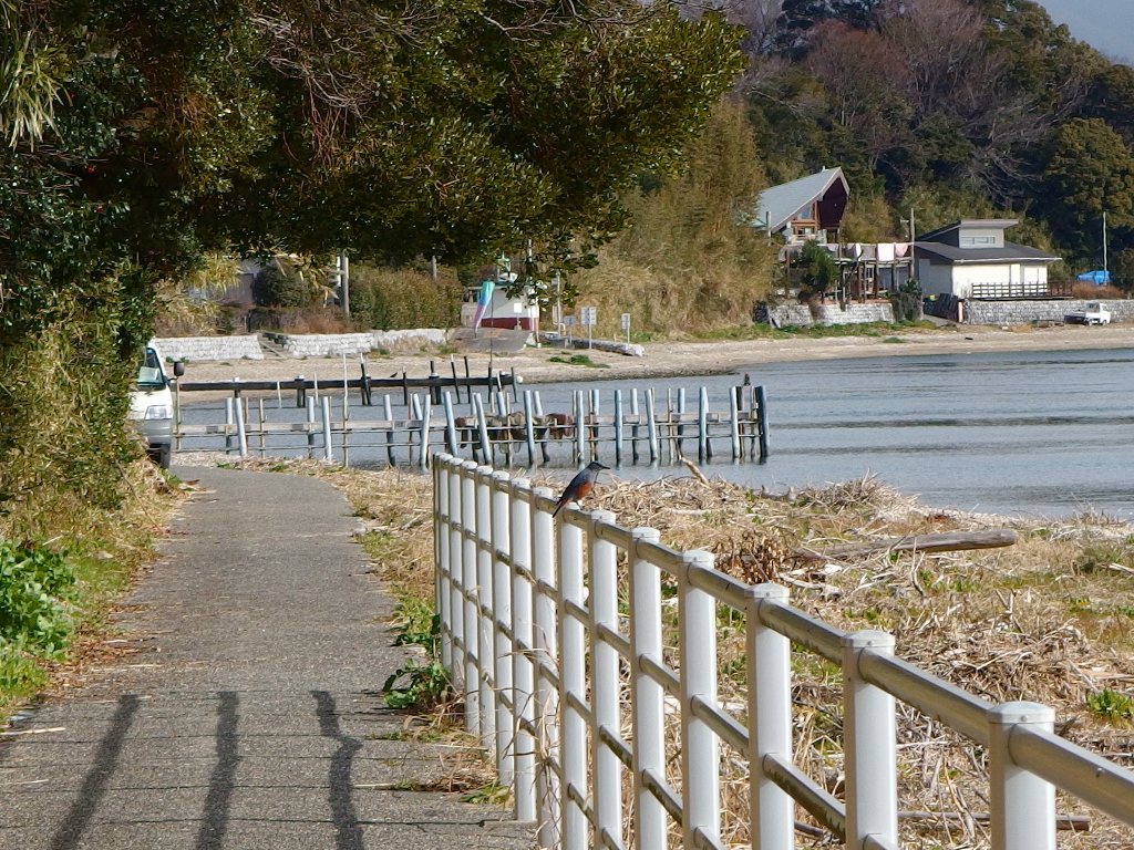 子どもの頃の景色に飛び出そう！クッチェッタ前懐かし遊歩道