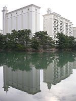 湖面が・・・