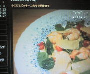 ＨＡＭＡＺO仲間