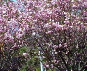 かぶと塚公園