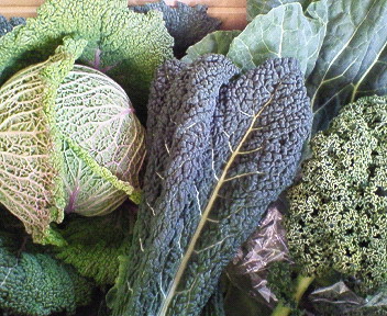 磐田の野菜