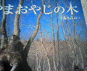 気になる木