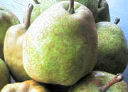 poire