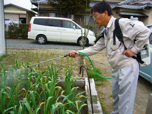 木にウルカルを撒いて栄養を補給！農薬じゃないよ！！！