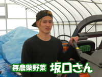 無農薬野菜　その1